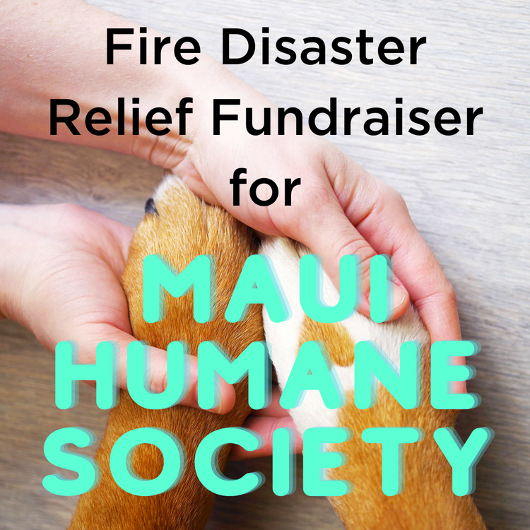 Fire Disaster Relief Fundraiser for Maui Humane Society